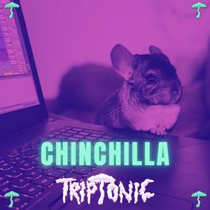 CHINCHILLA