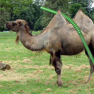 Switch over (Explicit)