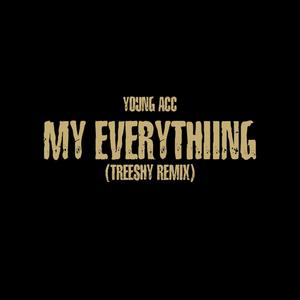 My Everything (Treeshy Remix) [Explicit]