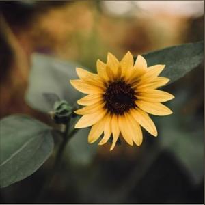 it aint enough (Explicit)