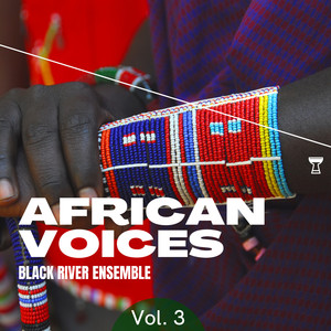 African Voices, Vol. 3