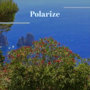 Polarize