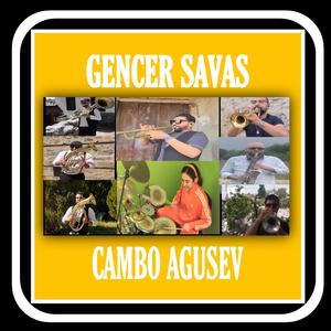 Shinanari(feat. Dzambo Agusevi Orchestra)