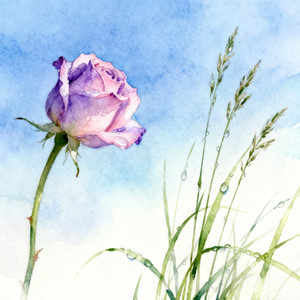 苏晚柠 - 如果秋风知道