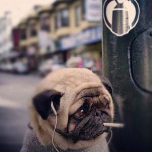 u had my heart u had my mindddd (˃̣̣̥⌓˂̣̣̥) (Explicit)