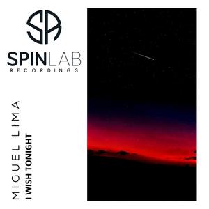 I Wish Tonight (feat. MFSL)