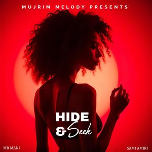 Hide & Seek (feat. Sami Amiri & Mr Mani)