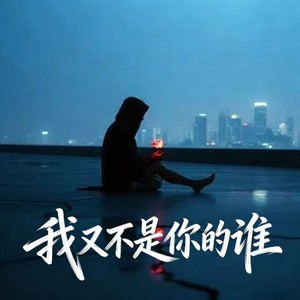 曾经最美 (我又不是你的谁)