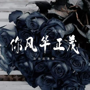 你风华正茂 (我穷困潦倒)-灯叔