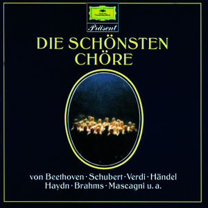 Ein deutsches Requiem Op.45 - excerpt:No.2 Chor 