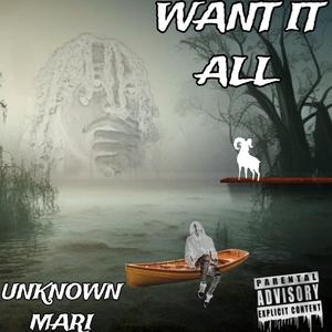 Want It All (Explicit)