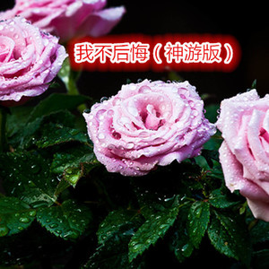 我不后悔 (神游版)