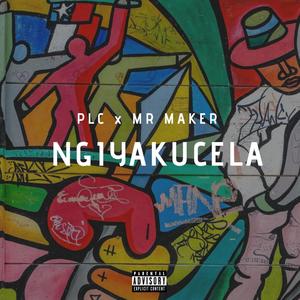 Ngiyakucela (Radio Edit)