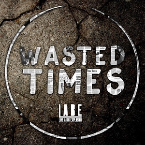 Wasted Times