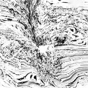 Rebekah Heller - Grand Street Counterpoint