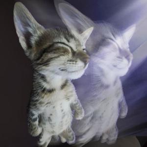 watch this (feat. faller) (Explicit)