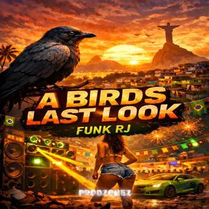 A Birds Last Look (Funk RJ)