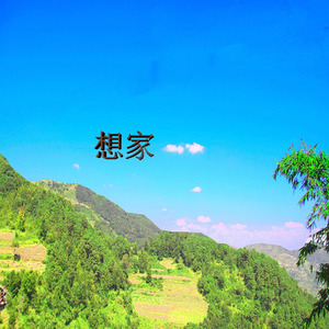 想家