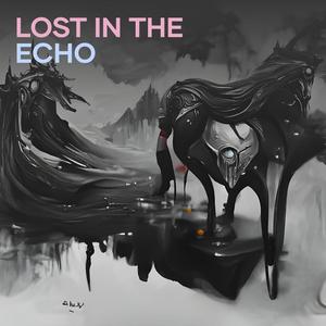 Lost in the Echo