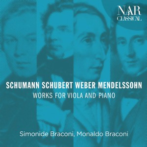 Arpeggione Sonata in A Minor, D. 821 - I. Allegro moderato