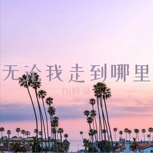 无论我走到哪里DJ