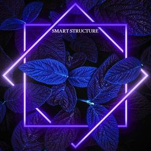 Smart Structure (feat. Boyblems)