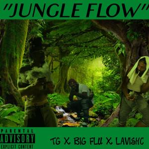 Jungle Flow (Remix|Explicit)
