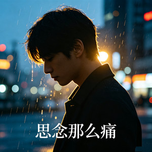 思念那么痛 (烟嗓版)