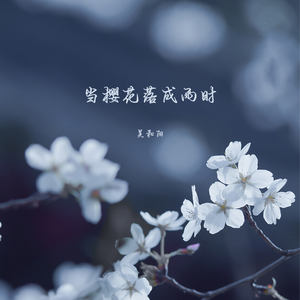 当樱花落成雨时