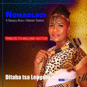 Ditaba tsa Lengolo (tribute to Malome Vector) (Explicit)