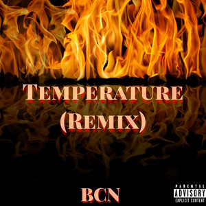 Temperature (Remix)