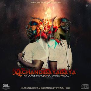 Vachandibayabaya (feat. Prelacy)