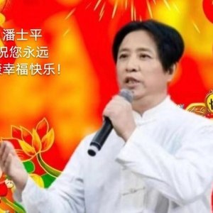 宝石花开喜迎春 轻音乐
