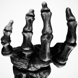Squeleton Hand