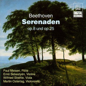 Serenade in D Major, Op. 25: V. Allegro scherzando e vivace
