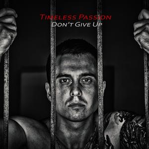 Don't Give Up (Intrumental) [feat. Andreas Thiele]