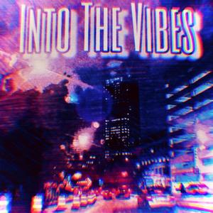 Into The Vibes (Explicit)