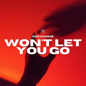 Won't Let You Go