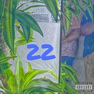 22 (Explicit)