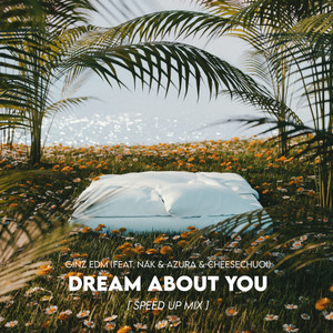 Dream About You (Speed Up Mix)