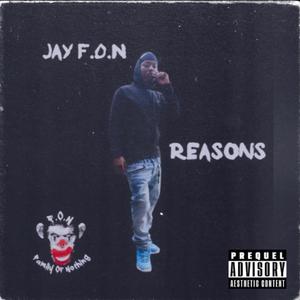 Reasons (Explicit)