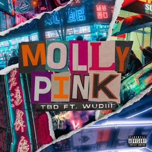 Molly Pink (feat. Wudiii) [Explicit]