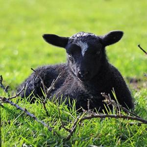 Deuteronomy 8:3 (feat. Joseph Dreams)