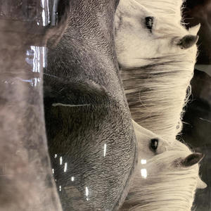 Troublesome (feat. Henny & Stackhouse) (Explicit)