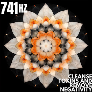 741 Hz Cleanse Toxins and Remove Negativity