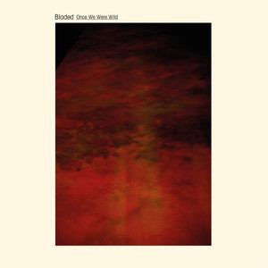 Blank Canvas, White Noise