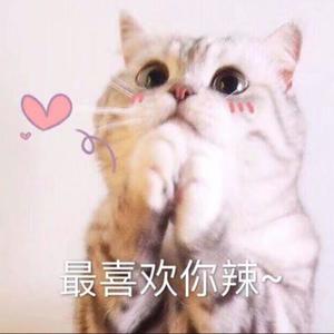 一笑倾城 (温柔女声版|翻自 群星)