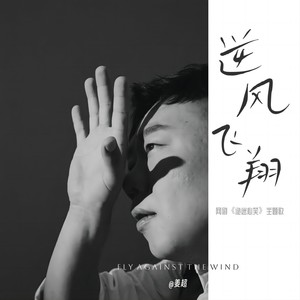 逆风飞翔 (伴奏)