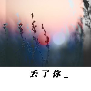 丢了你