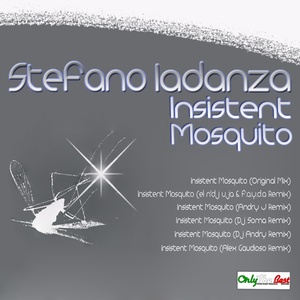 Insistent Mosquito